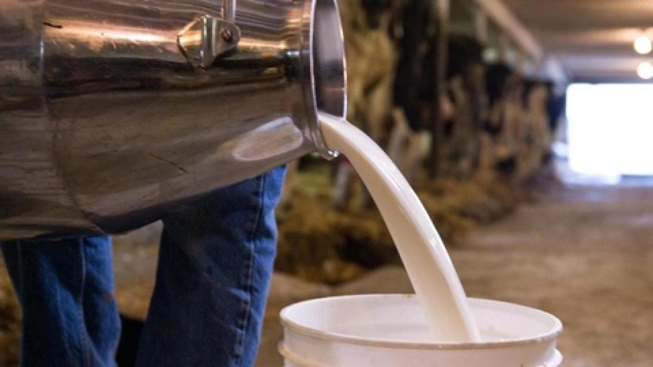 Çiğ Süt Fiyatına Zam Yapıldı