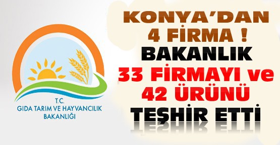 Bakanlık Konya'dan da 4 firmanın bulunduğu taklit ürünleri teşhir etti-İşte tam liste