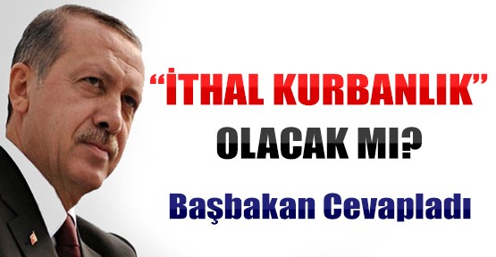 Başbakan Erdoğan: İthal Hayvan Yok Hayvan İhracatı Olabilir