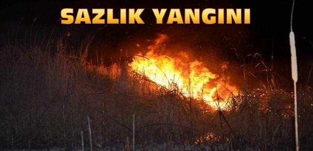 Beyşehir Gölü Milli Parkında Sazlık Yangını