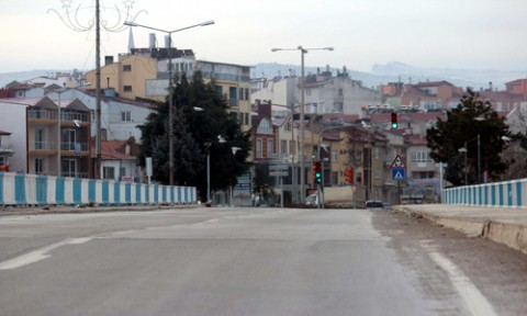 Beyşehir'deki Kuş Sürüleri Sürücüleri Korkutuyor