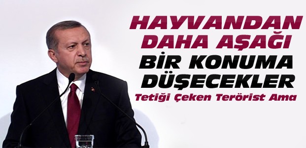 Cumhurbaşkanı Erdoğan'dan sert açıklamalar