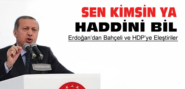 Erdoğan Bahçeli ve HDP'yi Eleştirdi