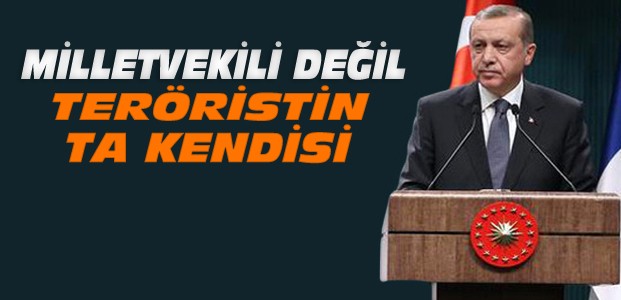 Erdoğan'dan HDP Fezleke Açıklaması