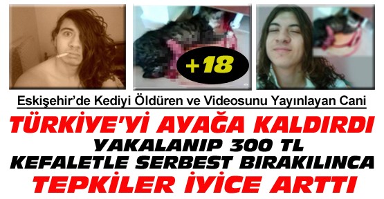 Kediyi İşkenceyle Öldüren Cani Türkiye'yi Ayağa Kaldırdı-Serbest Bırakılınca Tepkiler Büyüdü