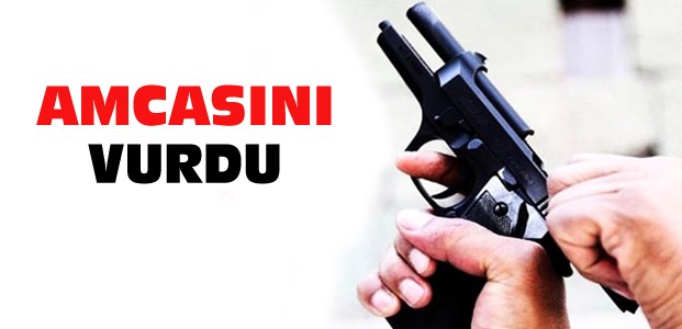 Konya'da Alacak Kavgası:Amcasını Vurdu