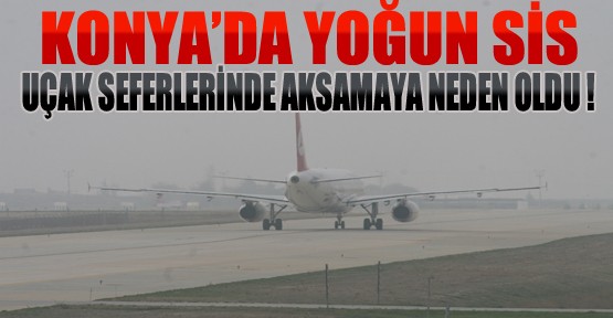 Konya'da Yoğun Sis Uçak Seferlerinde Aksamaya Neden Oldu