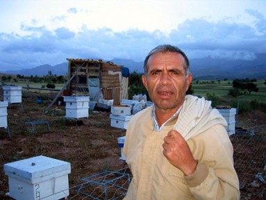 Seydişehir’de Teşvik İçin Arılar Yerinde Tespit Ediliyor