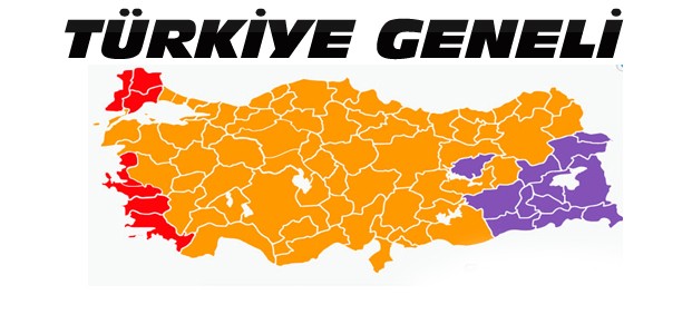 Türkiye Geneli 1 Kasım Seçim Sonuçları
