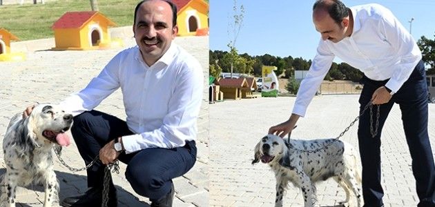 Konya'da Uğur İbrahim Altay'a Sokak Köpeği Çağrısı