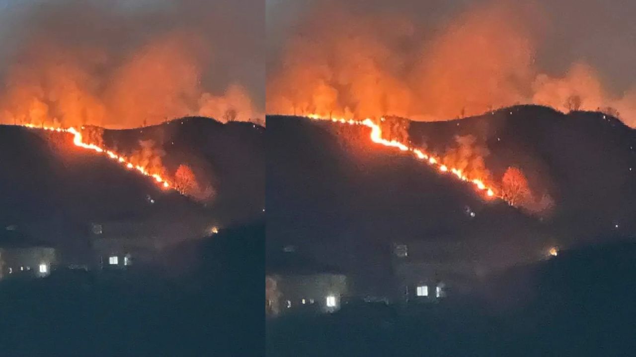 Trabzon'da Orman Yangını Çıktı!