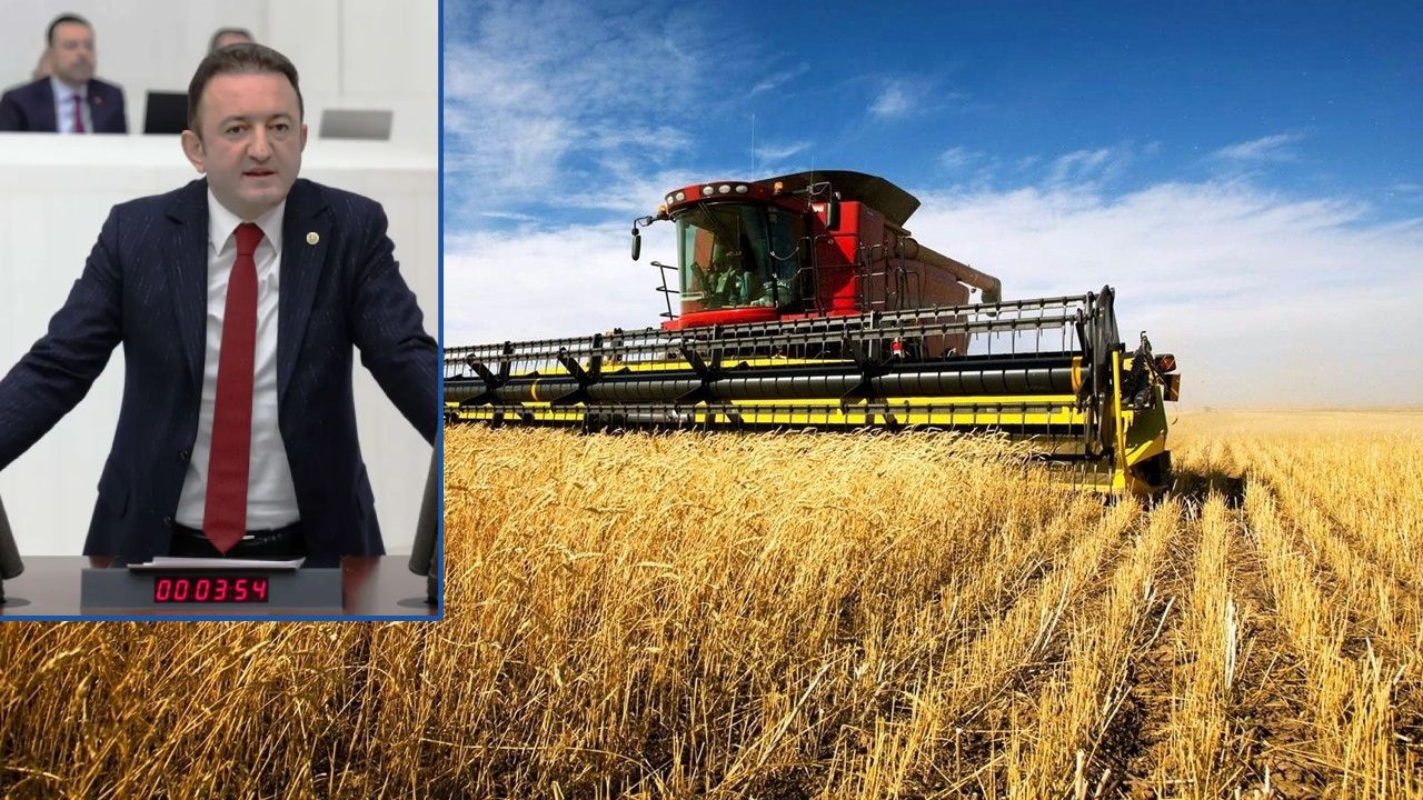 Bektaş'a Göre Buğday Fiyatı En Az 12 TL Olmalı!