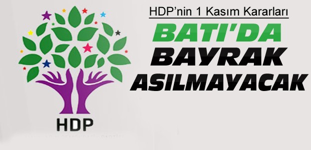 HDP'nin 1 Kasım Kararı