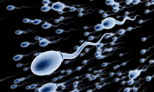 Laboratuvarda yapay sperm üretildi